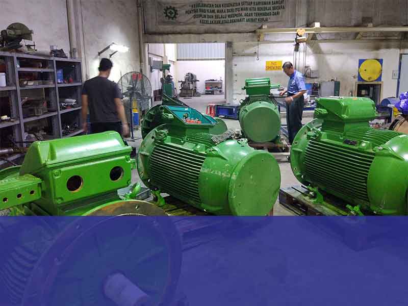 WEG Motor Service
